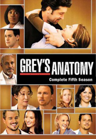 Анатомия Грей / Анатомия страсти / Greys Anatomy (Сезон 5) (2008)