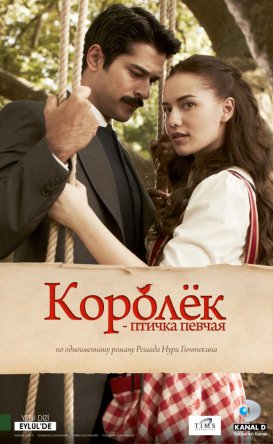 Королек - птичка певчая / Çalıkuşu (Сезон 1) (2013-2014)