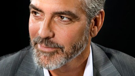 Джордж Клуни и Джоди Фостер нашли финансы для «Денежного монстра»