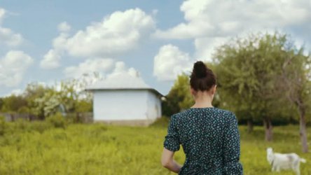 Фильм «Данина»: возвращение в заброшенный родной дом