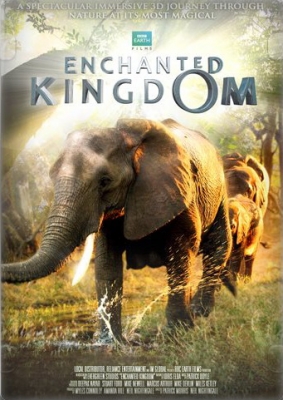 Зачарованное Королевство / Enchanted Kingdom (2013)