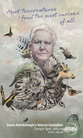 Капризы природы с Дэвидом Аттенборо / Курьезы природы / Attenborough's Natural Curiosities (Сезон 1) (2013)