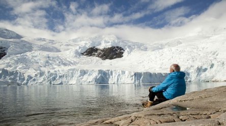 Каннский кинофестиваль закроется путешествием в Антарктику