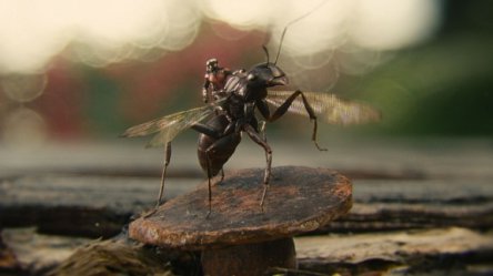 Джордж Р.Р. Мартин расписывается в любви к «Человеку-муравью»