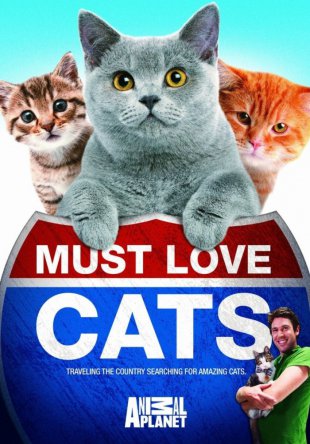Кошек не любить нельзя / Must Love Cats (Сезон 1-2) (2011-2012)