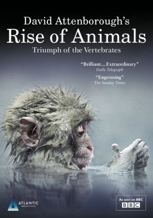 BBC. Восстание животных: Триумф позвоночных / Rise of Animals: Triumph of the Vertebrates (2013)