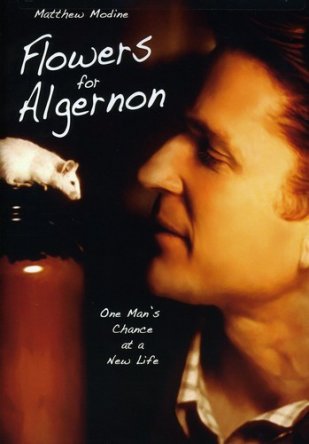 Цветы для Элджернона / Flowers for Algernon (2000)